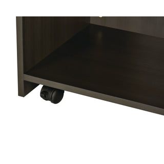 AdirOffice Wood Mobile Presentation Lectern Speaker Stand with Shelves, 22.44 x 16.53 x 45.98, Black (ALHI66107BLK)