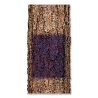 Rust-Oleum® Specialty No Hunting Purple Spray Paint, Flat No Hunting Purple, 12 oz Aerosol Can (RST270970)