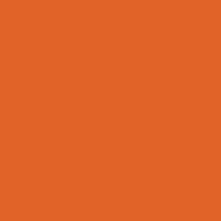 Rust-Oleum® Specialty Fluorescent Spray Paint, Flat Fluorescent Orange, 11 oz Aerosol Can (RST342568EA)