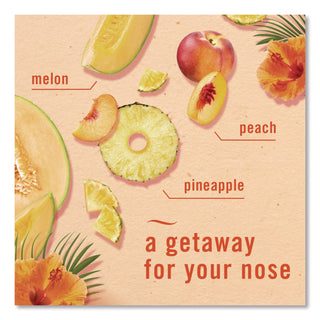 Febreze® AIR, Hawaiian Aloha, 8.8 oz Aerosol Spray, 2/Pack, 3 Packs/Carton (PGC17342)
