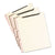 Smead™ Self-Adhesive Folder Dividers for Top/End Tab Folders w/ 2-Prong Fasteners, Letter Size, Manila, 25/Pack (SMD68025)