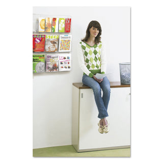 Safco® Reveal Clear Literature Displays, 12 Compartments, 30w x 2d x 34.75h, Clear (SAF5606CL)