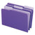 Pendaflex® Interior File Folders, 1/3-Cut Tabs, Legal Size, Violet, 100/Box (ESS435013VIO)