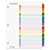 Cardinal® OneStep Printable Table of Contents and Dividers, 31-Tab, 1 to 31, 11 x 8.5, White, 1 Set (CRD60118)
