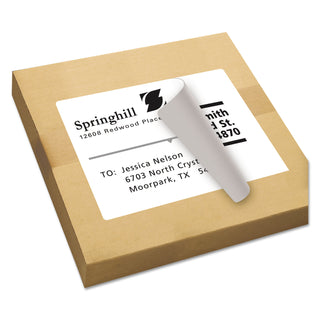 Avery® Shipping Labels with TrueBlock Technology, Inkjet Printers, 8.5 x 11, White, 100/Box (AVE8465)