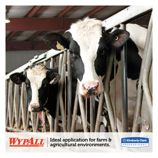 WypAll® L10 SANI-PREP Dairy Towels, POP-UP Box, 1-Ply, 10.25 x 10.5, White, 110/Pack, 18 Packs/Carton (01772KIM)