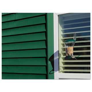 Command™ All Weather Hooks and Strips, Plastic, Large, 1 Hooks and 2 Strips/Pack (MMM17093CLRAW)
