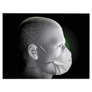 3M™ VFlex Particulate Respirator N95, Regular, 50/box (MMM9105)