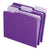 Pendaflex® Interior File Folders, 1/3-Cut Tabs, Letter Size, Violet, 100/Box (ESS421013VIO)