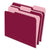 Pendaflex® Interior File Folders, 1/3-Cut Tabs, Letter Size, Burgundy, 100/Box (ESS421013BUR)