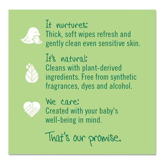 Seventh Generation® Free & Clear Baby Wipes, Refill, Unscented, White, 256 Wipes per Pack, 3 Packs per Case, 768 Wipes Total (SEV34219)