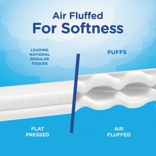 Puffs Facial Tissue, White, 1 Cube, 64 Sheets, 24 Boxes/Carton (PGC84405)