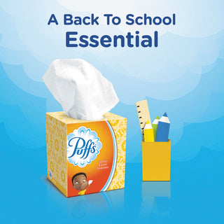 Puffs Facial Tissue, White, 1 Cube, 64 Sheets, 24 Boxes/Carton (PGC84405)