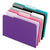 Pendaflex® Interior File Folders, 1/3-Cut Tabs, Letter Size, Assortment 1, 100/Box (ESS421013ASST2)