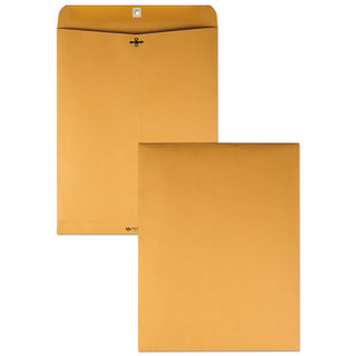 Quality Park™ Clasp Envelope, #110, Cheese Blade Flap, Clasp/Gummed Closure, 12 x 15.5, Brown Kraft, 100/Box (QUA37910)