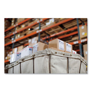 DYMO® LW Extra-Large Shipping Labels, 4" x 6", White, 220/Roll, 10 Rolls/Pack (DYM2011999)