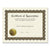Great Papers!® Ready-to-Use Certificates, 11 x 8.5, Ivory/Brown, Appreciation, 6/Pack (COS930000)