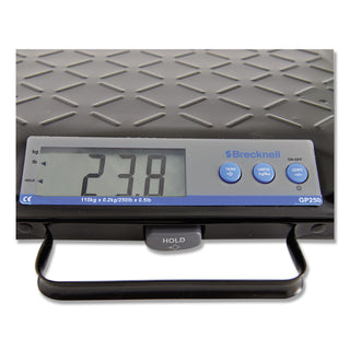 Brecknell Portable Electronic Utility Bench Scale, 250lb Capacity, 12 x 10 Platform (SBWGP250)