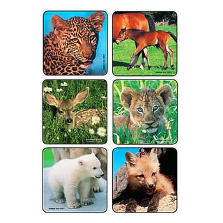 Kids Love Stickers® 90 per Pack Baby Animal Photos , Assorted Sticker 2-1/2 Inch (884148_PK)