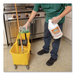 Simple Green® d Pro 3 Plus Antibacterial Concentrate, Herbal, 1 gal Bottle, 6/Carton (SMP01001)