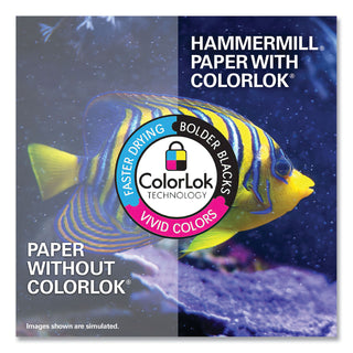Hammermill® White, Letter Sized Color Copier Paper, 3 Hole Punched (HAM102500)