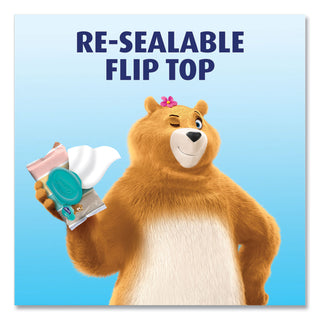 Charmin® Flushable Wipes, 5 x 7.2, Unscented, 40 Wipes/Tub, 4 Tubs/Pack (PGC79619)