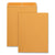 Quality Park™ Catalog Envelope, #13 1/2, Cheese Blade Flap, Gummed Closure, 10 x 13, Brown Kraft, 100/Box (QUA41667)