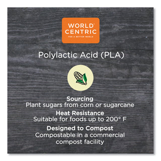 World Centric® Fiber Bowl Lids, 7.5 x 7.5 x 1, Clear, 300/Carton (WORBOLCS24)