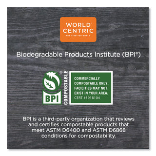 World Centric® Fiber Container Lids, 8.8 x 6.9 x 0.8, Clear, 400/Carton (WORCTLCS3) (WORCTLCS3)