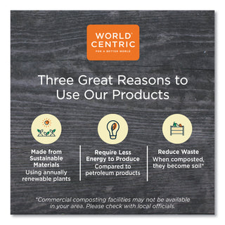 World Centric® Sustainable Kraft Paper Straws, Wrapped, 8", Natural, 6,000/Carton (WORSTPA8WK)