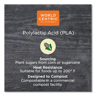 World Centric® Fiber Container Lids, 8.8 x 6.9 x 0.8, Clear, 400/Carton (WORCTLCS3) (WORCTLCS3)