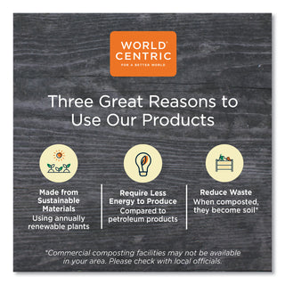 World Centric® Fiber Container Lids, 8.8 x 6.9 x 0.8, Clear, 400/Carton (WORCTLCS3) (WORCTLCS3)