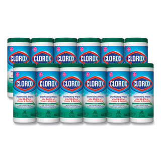 Clorox® Disinfecting Wipes, Fresh Scent, Case of 12 (COX01593CT)
