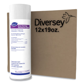 Diversey™ Envy Foaming Disinfectant Cleaner, Lavender Scent, 19 oz Aerosol Can, 12/Carton (DRK04531)