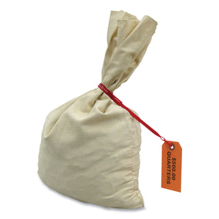CONTROLTEK® Canvas Coin Transit Bag, 12 x 19, Beige (CNK530000)
