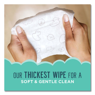 Seventh Generation® Free & Clear Baby Wipes, Unscented, White, 64 Wipes per Pack, 12 Packs per Case, 768 Wipes Total (SEV34208)