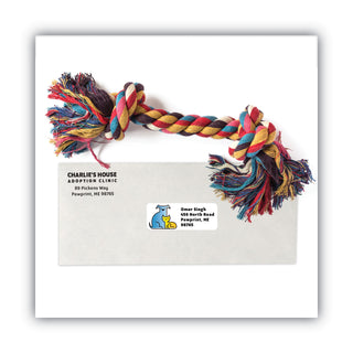 MACO® White Laser/Inkjet Shipping and Address Labels, Inkjet/Laser Printers, 1 x 2.63, White, 30/Sheet, 100 Sheets/Box (MACML3000)