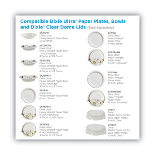 Dixie® Pathways Soak Proof Shield Heavyweight Paper Plates, WiseSize, 10.13" dia, Green/Burgundy, 500/Carton (DIXSXP10PATH)