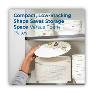 Dixie® Pathways Soak-Proof Shield Mediumweight Paper Plates, 8 1/2", Grn/Burg, 125/Pk (DXEUX9WSPK) (DXEUX9WSPK)