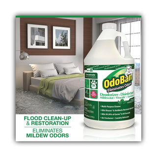 OdoBan® Concentrated Odor Eliminator and Disinfectant, Eucalyptus, 1 gal Bottle, 4/Carton (ODO911062G4)
