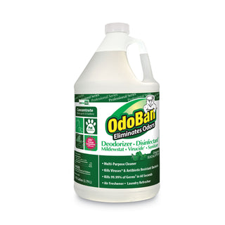 OdoBan® Concentrated Odor Eliminator and Disinfectant, Eucalyptus, 1 gal Bottle, 4/Carton (ODO911062G4)