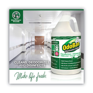OdoBan® Concentrated Odor Eliminator and Disinfectant, Eucalyptus, 1 gal Bottle, 4/Carton (ODO911062G4)
