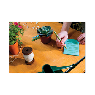 Post-it® Original Pads in Beachside Cafe Collection Colors, Note Ruled, 4" x 6", 100 Sheets/Pad, 5 Pads/Pack (MMM6605PKAST)