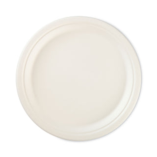 Hefty® Super Strong Paper Dinnerware, 10 1/8" Plate, Bagasse, 16/Pack (RFPD710160CBT)