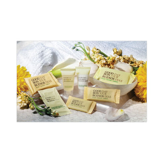 Good Day™ Unwrapped Amenity Bar Soap, Fresh Scent, # 1/2, 1000/Carton (GTP400050)