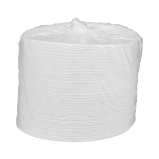 Pactiv Evergreen Unlaminated Foam Dinnerware, Plate, 10.25" Diameter, White, 540/Carton (PCT0TH10010000Y)