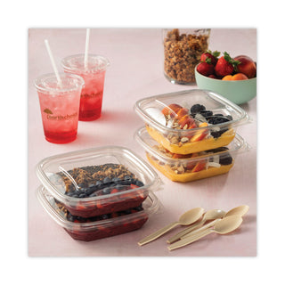 Pactiv Evergreen EarthChoice Recycled Plastic Square Flat Lids, 7.38 x 7.38 x 0.26, Clear, 300/Carton (PCTSACLF07)