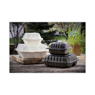 Pactiv Evergreen EarthChoice SmartLock Microwavable Hinged Lid Containers, 5.75 x 5.95 x 3.1, Black, 400/Carton (PCTYCNB06000000)