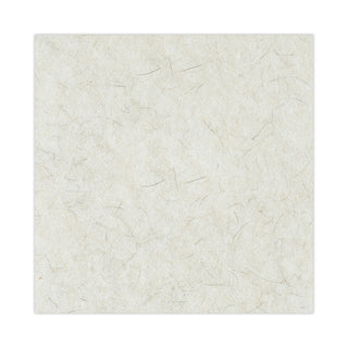 Boardwalk® Natural Burnishing Floor Pads, 20" Diameter, White, 5/Carton (PAD4020NAT)