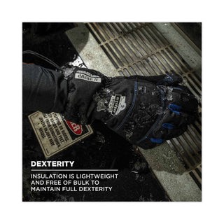 ergodyne® ProFlex 819WP Extreme Thermal WP Gloves, Black, Medium, Pair (EGO17613)